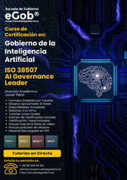 ISO 38507 AI Governance Leader